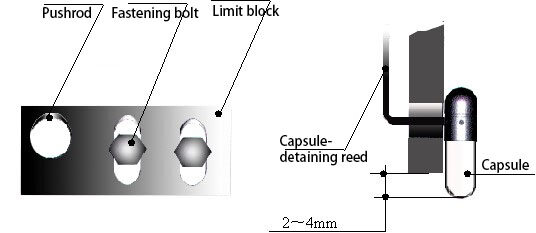 Capsule-Detaining Reed